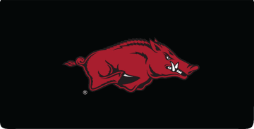 Enlarged view of arkansas logo checkbook covers 