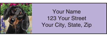dachshund address labels - click to preview