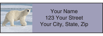 Earth Echoes Address Labels – click to view product detail page