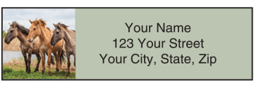 horse play address labels - click to preview