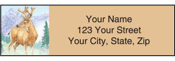 Wildlife Adventure Address Labels – click to view product detail page