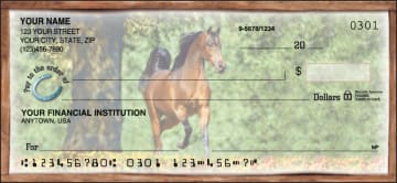 Enlarged view of horse play checks 