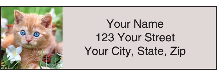 Kitty Review Address Labels – click to view product detail page