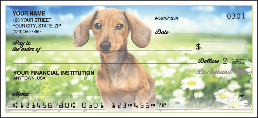 Enlarged view of dachshund checks 
