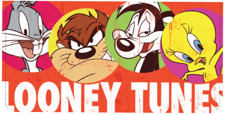 Looney Tunes Checkbook Cover