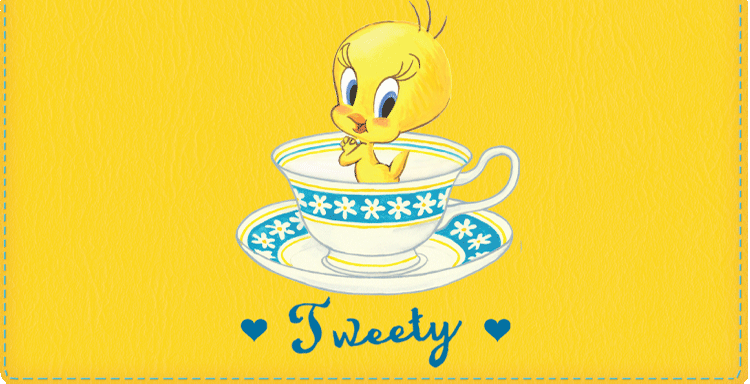 Tweety Checkbook Cover