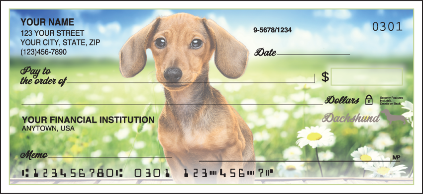 Dachshund Personal Checks -100 Checks (1 Box)